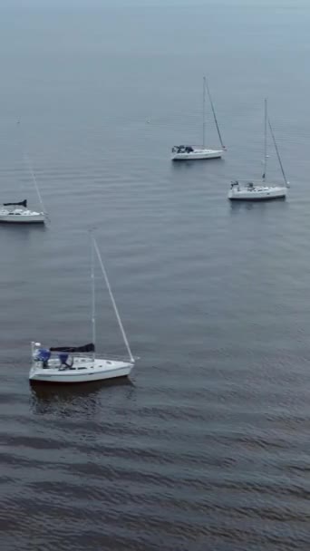 Sok Hajó Vitorlás Jachtok Óceán Szellő Pihentető Menekülés — Stock videók