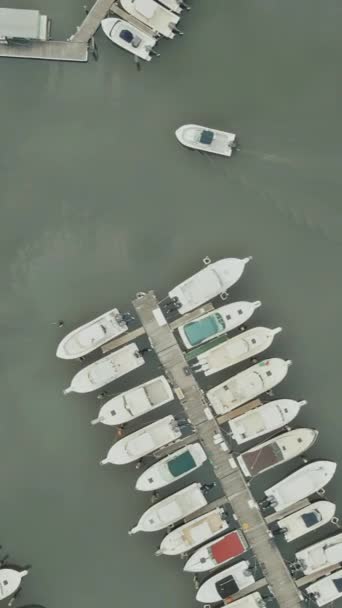 Yachthafen Der Küste Mit Wunderschönen Bootsanlegestellen Aus Der Luft — Stockvideo