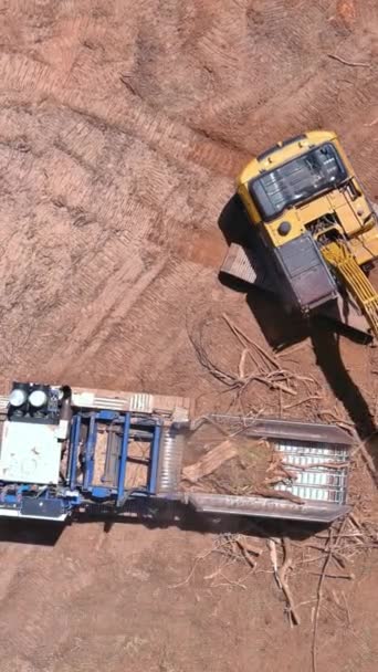Triturador Raiz Árvore Madeira Industrial Usado Para Picado Local Construção — Vídeo de Stock