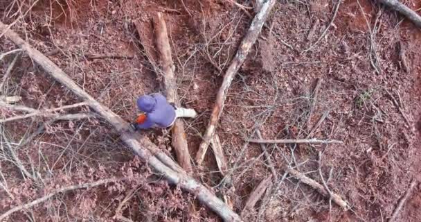 Service Worker Causes Ecological Disaster Using Chainsaw Cut Trees Forest — Stock Video