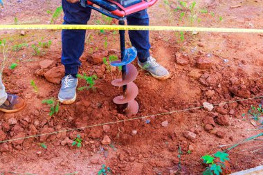 İşçi çit direkleri için 1 benzin sondaj makinesiyle toprağı kazıyor