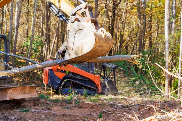 stock image With help of tractor builder uproots trees at forest in preparation for construction