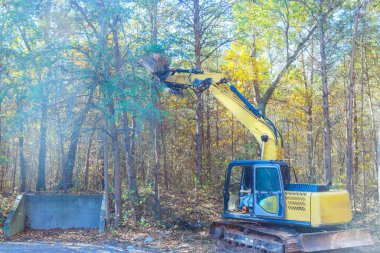Builder uproots trees in forest with tractor so that land can be prepared for construction clipart