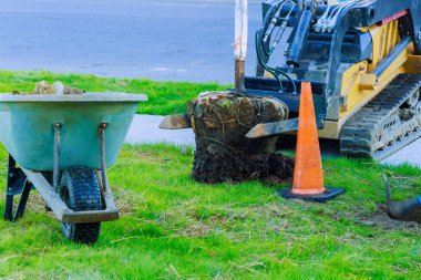 Bahçe düzenleyicisi evin yakınındaki bahçeye fideleri dikmek için traktör kullanırdı.