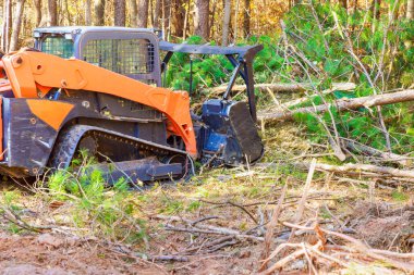 During forest clearing contractor used tracked general purpose forestry mulcher clipart