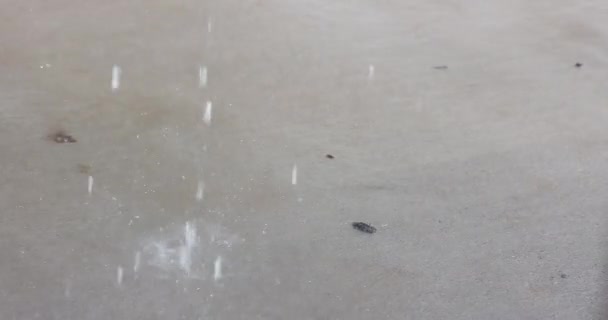 雷雨の間のダウンパワー中に嵐の重い雨の中のコンクリートドライブウェイ — ストック動画