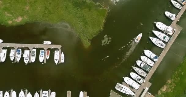 Barca Vela Yacht Splendida Marina Costiera Vista Panoramica Aerea — Video Stock
