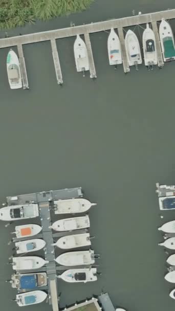 Schöne Panoramische Yachthafen Küste Der Boote Piers Yacht Segelboot Luftaufnahme — Stockvideo