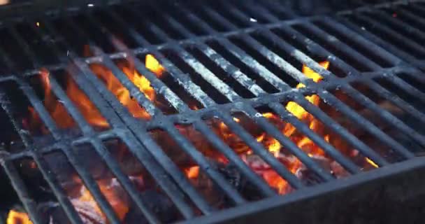 Fire Being Prepared Grill Prepare Coals Barbecue Meat Can Roasted — Stock Video