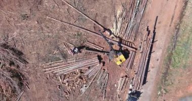 Kesilen ağaç kütükleri ile yüklü kamyon vinç manipülatörü ile devrildikten sonra