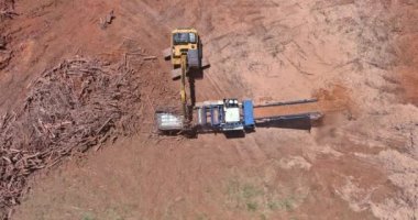 İnşaat alanında doğranmak için endüstriyel ağaç kökü öğütücüsü kullanılmış.