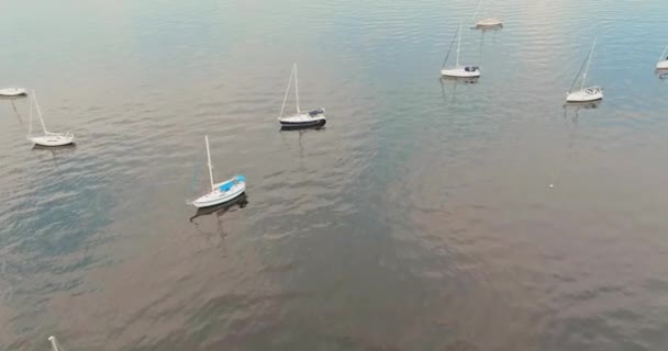 Molte Belle Barche Yacht Vela Con Vista Sull Oceano Durante — Video Stock