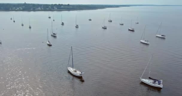 Ozeanabenteuer Mit Vielen Boot Segelbooten Während Der Sommerferien — Stockvideo