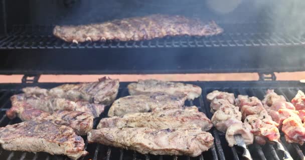 最好的烤猪肉晚餐用烤肉烧烤 配上各式美味的肉 — 图库视频影像