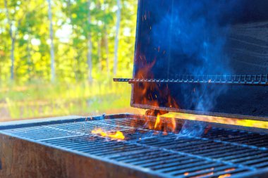 Barbekü ızgarası. Açık havada et için yakacak odunları var.