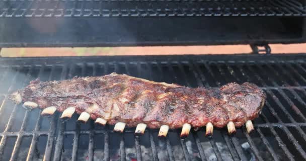 Pork Ribs Marinated Sweet Sauce Being Roasted Bbq Grill Heated — Stock Video