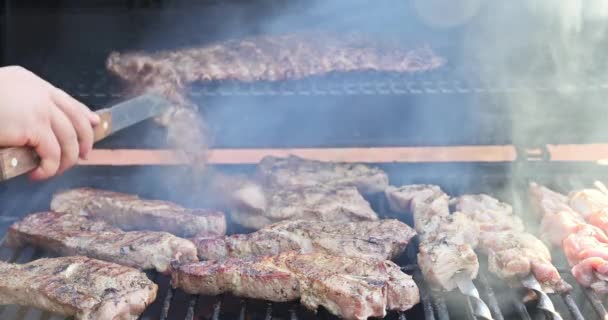 选择美味的烤猪肉作为晚餐 并在烧烤烤架上烧烤 — 图库视频影像
