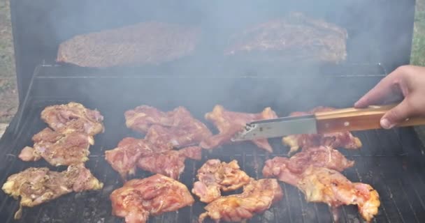 作为准备工作的一部分 各种多汁肉类在烤肉架上被热熏制 — 图库视频影像