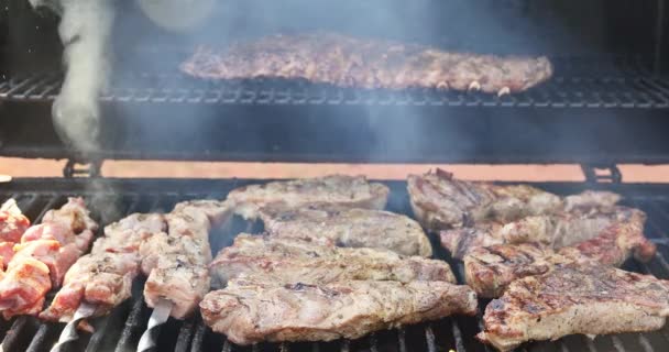 Assortimento Preparazione Comprende Varie Carni Succose Affumicate Alla Griglia — Video Stock