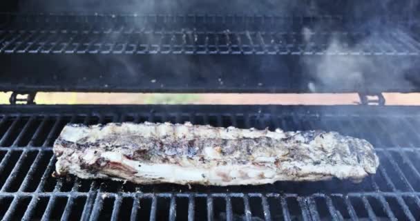 热火朝天的烧烤架上烤着腌制过的猪排 — 图库视频影像
