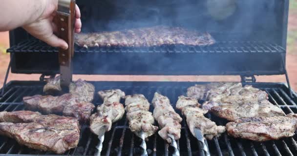 Sulla Griglia Barbecue Varietà Carni Suine Succose Sono Affumicate Caldo — Video Stock