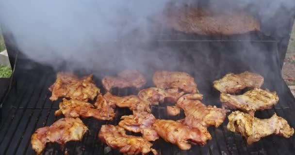 作为配料的一部分 各种多汁肉类在烤肉架上都会被热熏烤 — 图库视频影像