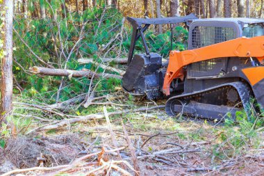 In order to clean forest contractor used tracked general purpose forestry mulcher clipart