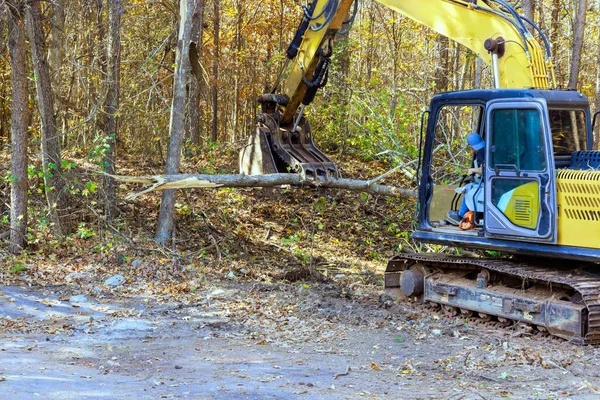In preparation for construction builder uses tractor to uproot trees at forest