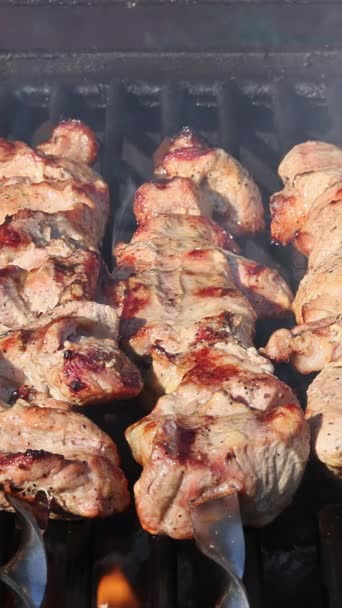 Kebab Tradizionale Turco Cucinato All Aperto Spiedini Sulla Griglia Calda — Video Stock