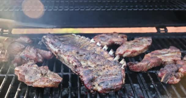 在烤肉架上热熏制各式多汁猪肉肉 — 图库视频影像