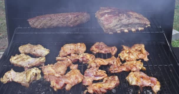 配料包括在烧烤烤架上熏制的各种多汁肉类 — 图库视频影像