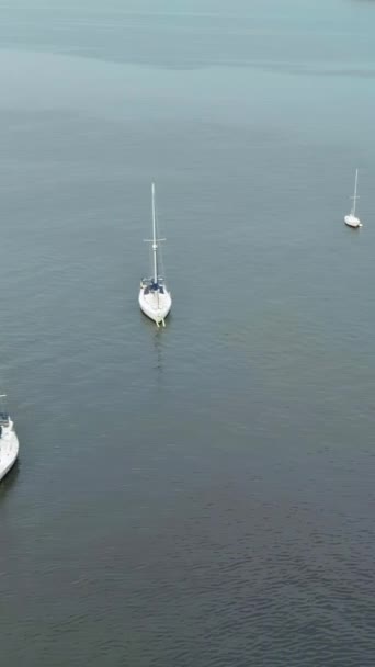 Molte Belle Barche Yacht Vela Mare Una Perfetta Fuga Estiva — Video Stock