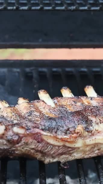 Heiß Flammender Grill Wird Zum Braten Marinierter Schweinerippchen Verwendet — Stockvideo