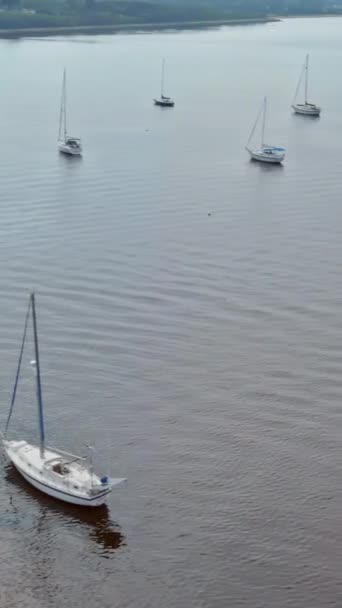 Avventure Oceaniche Con Molte Barche Vela Yacht Durante Vacanze Estive — Video Stock