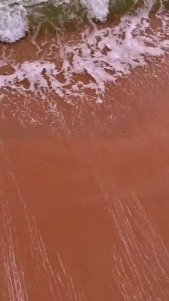 Blick Aus Der Luft Zeigt Meereswellen Die Auf Sandstrände Des — Stockvideo