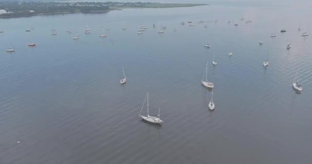 Vista Panorámica Muchos Bellos Barcos Océano Hora Verano — Vídeos de Stock