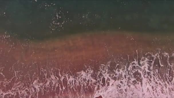 Хвилі Краху Чистої Води Проти Піщаної Берегової Лінії Мальовничому Середовищі — стокове відео