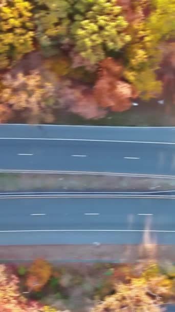 Widok Lotu Ptaka Skrzyżowanie Dróg Godzinach Szczytu Samochodami Poruszającymi Się — Wideo stockowe