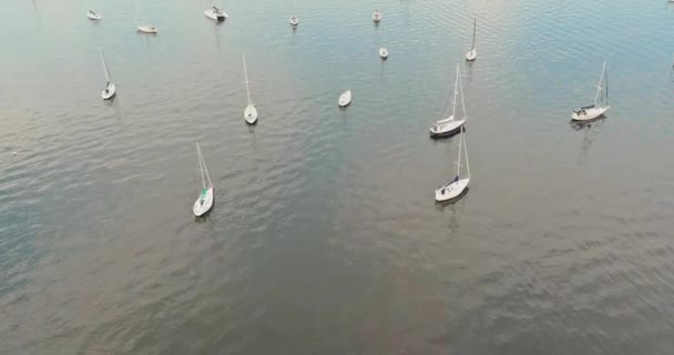 Ozean Segelbootyachten Die Einen Modernen Lebensstil Für Den Wassertransport Umfassen — Stockvideo