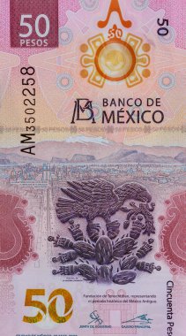 Meksika banknotları 50 peso ulusal bir para cephesi görüşü
