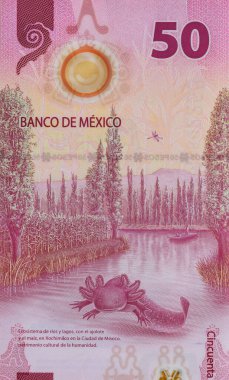 Meksika banknotları. 50 peso ulusal. Para manzarası.