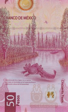Meksika banknotları 50 peso ulusal para geri görünüm