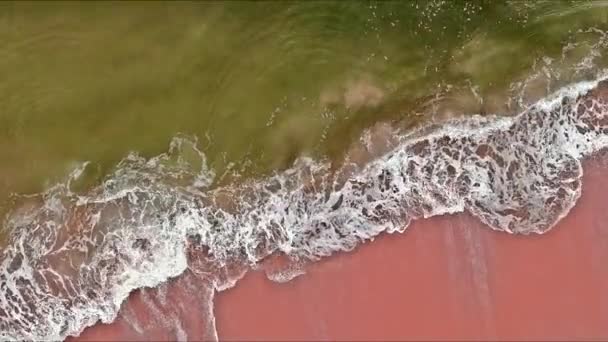 Wellen Von Klarem Wasser Treffen Sandstrand Ozean Eine Idyllische Kulisse — Stockvideo