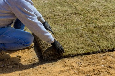Yeni bahçe bahçesi için doğal yeşil çimenlik rulo döşeyen adam çevre düzenlemesi yapıyor.