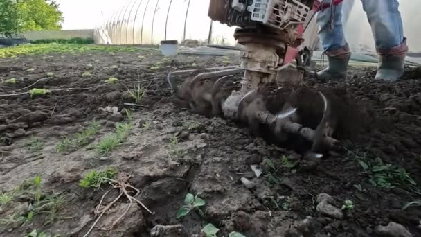 Agricultor Está Cultivando Solo Com Arado Motor Manual Início Temporada — Vídeo de Stock