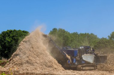 Ormancılık, ağaç köklerini endüstriyel öğütücü makinesine doldururken ağaç kütüklerini küçük parçalara ayırıyor.