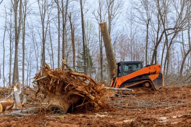 Konut kompleksi inşaatına hazırlanırken, kazıcılar, traktörler ağaçları söküyor