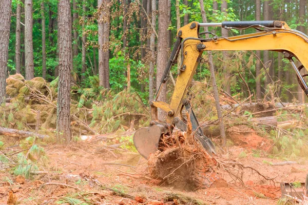 To prepare land for construction of residential complex, excavators, tractors are uprooting trees