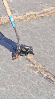 Çalışan yama sırasında asfalt çatlaklarını doldurarak zift emülsiyonu yol yüzey yenileme çalışmalarını gerçekleştirir