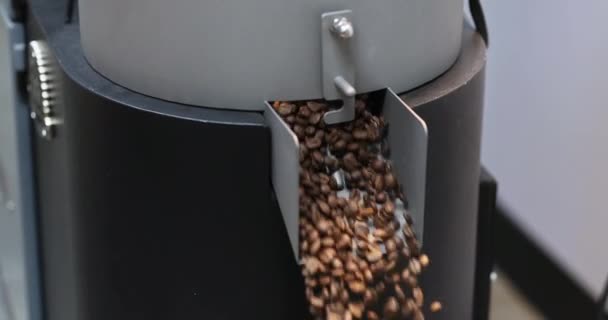 Roasted Coffee Beans Spill Out Discharging Flap Cooler Roasting Factory — Stock Video